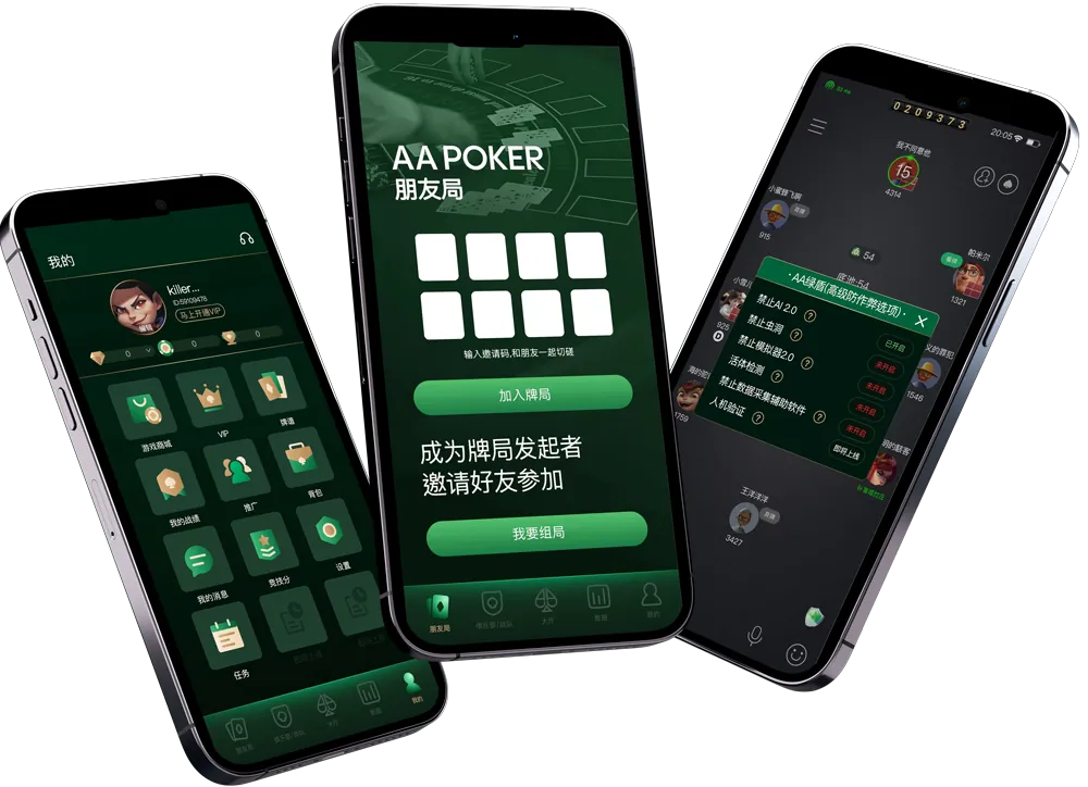 HHpoker全级别 专业界面